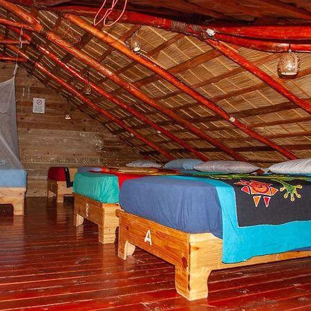 Hostel La Ballena Backpacker لاس غاليراس المظهر الخارجي الصورة