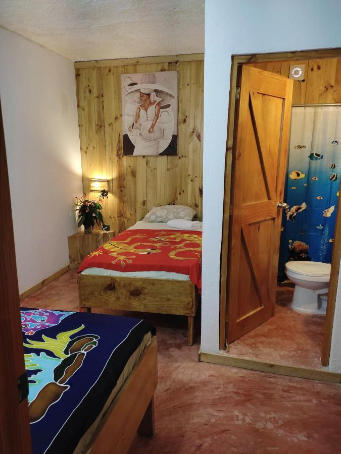 Hostel La Ballena Backpacker لاس غاليراس المظهر الخارجي الصورة