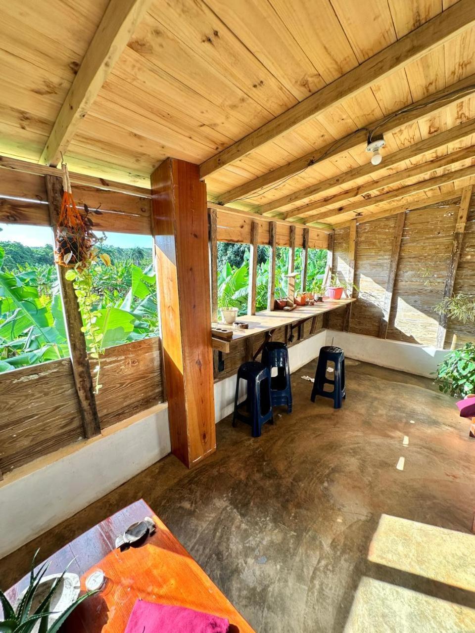 Hostel La Ballena Backpacker لاس غاليراس المظهر الخارجي الصورة