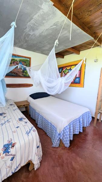 Hostel La Ballena Backpacker لاس غاليراس المظهر الخارجي الصورة